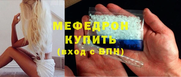 индика Бикин
