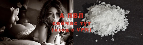 крисы Армянск