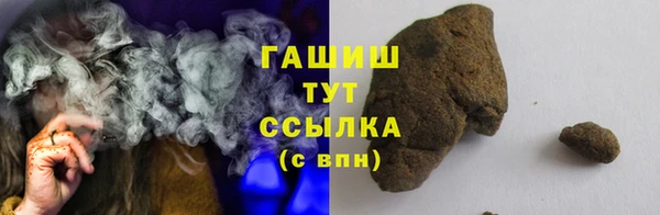 индика Бикин