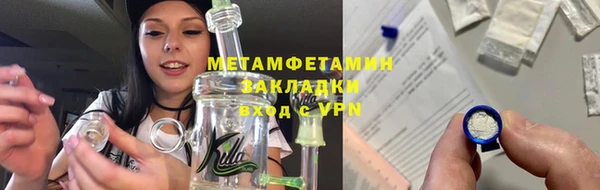 прущие грибы Покачи