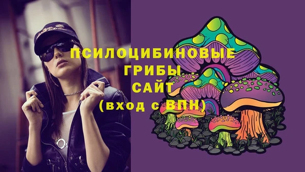 крисы Армянск
