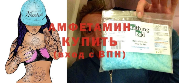 индика Бикин