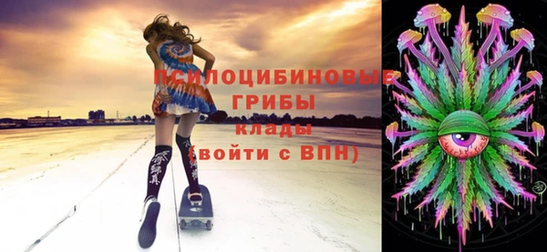 индика Бикин